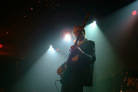 Peter Ingemann